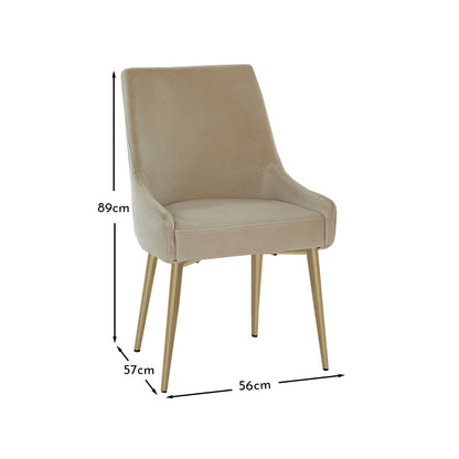 Maeve Clay Dining Chairs with Gold Legs - Set Of 2 - Laura James